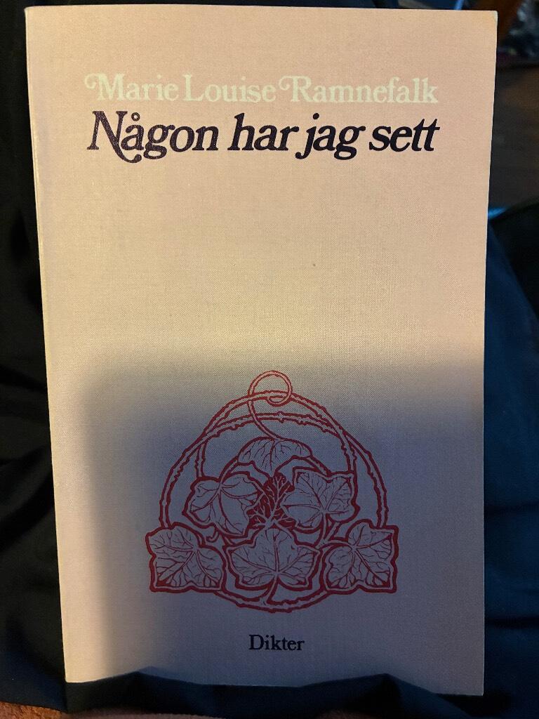 N&aring;gon har jag sett - [dikter]