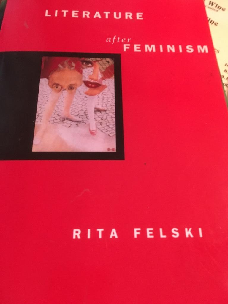 Literature after feminism