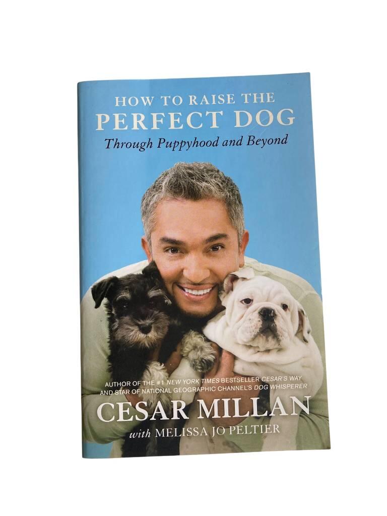 How to raise the perfect dog - through puppyhood and beyond