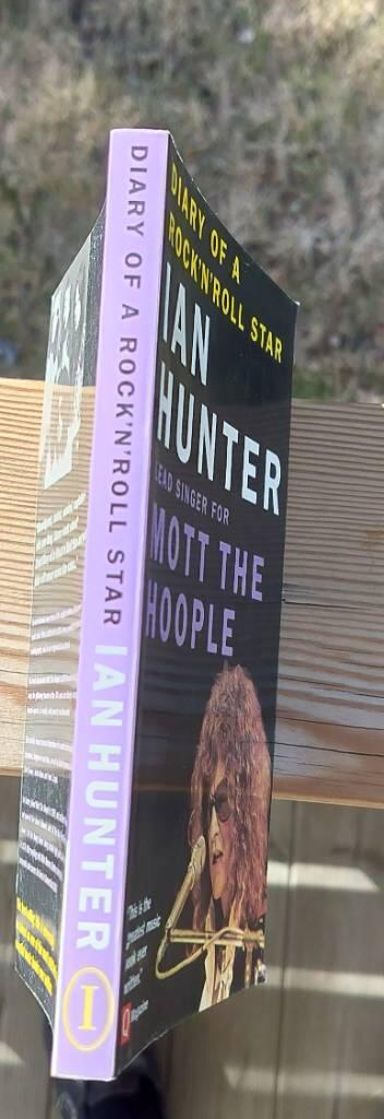 Diary of a rock 'n' roll star