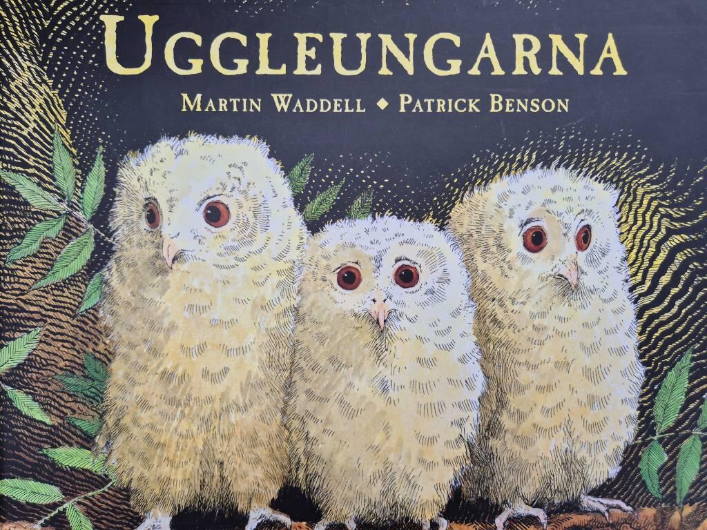 Uggleungarna
