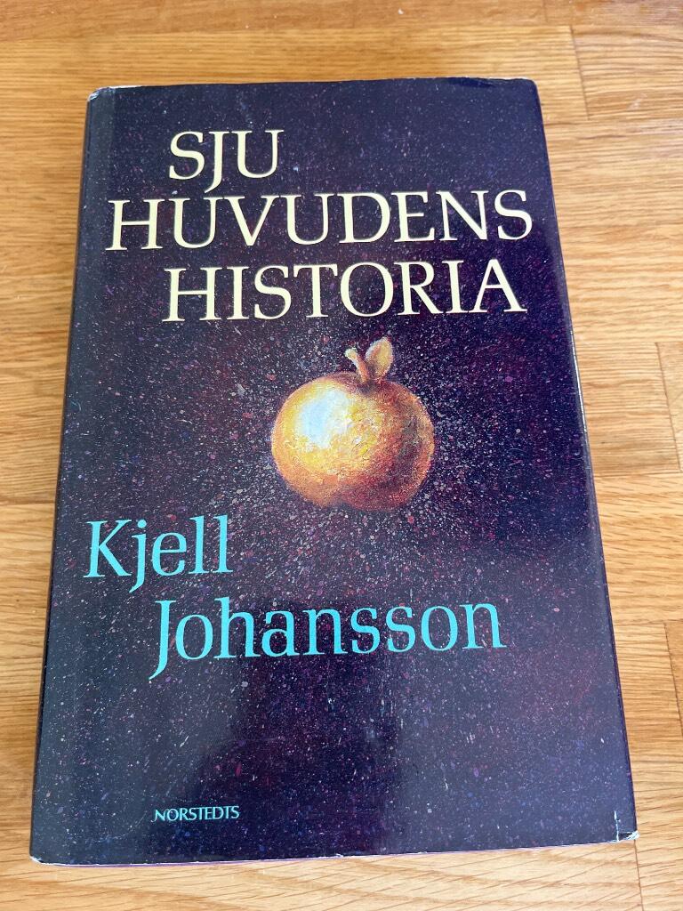 Sju huvudens historia : roman