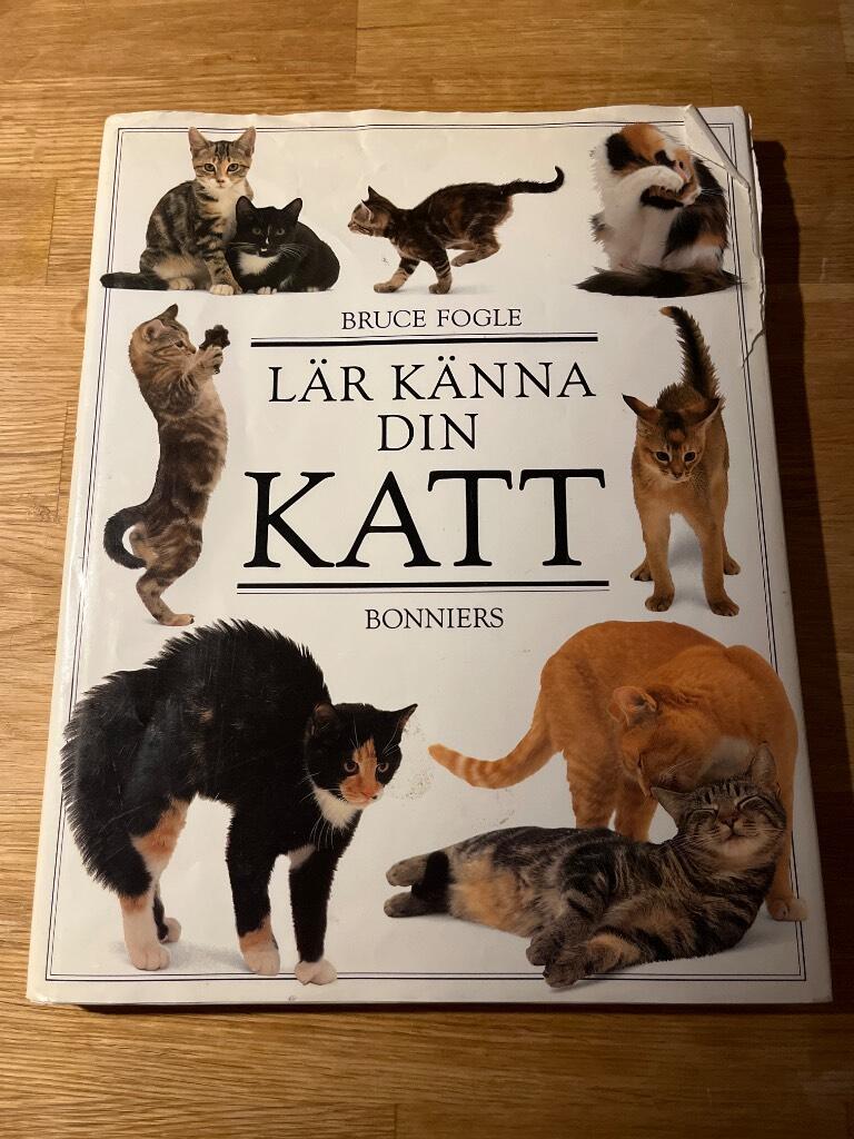 L&auml;r k&auml;nna din katt