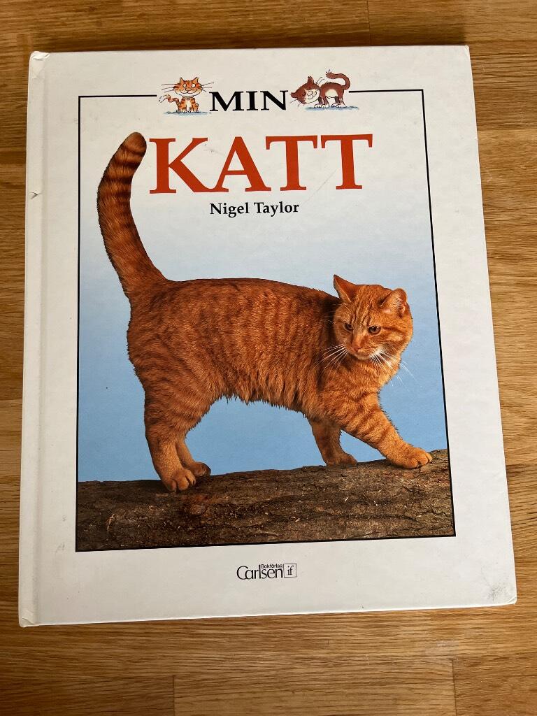 Min katt