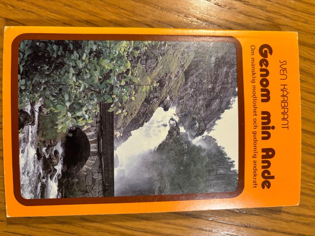 Genom min ande : om m&auml;nsklig modl&ouml;shet och gudomlig andekraft