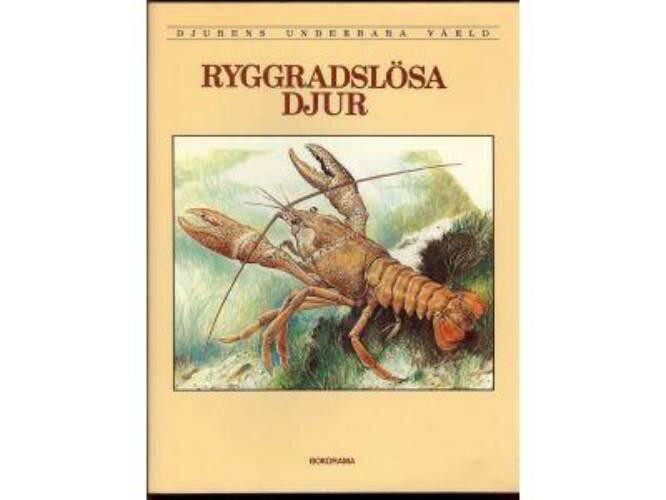 Djurens underbara värld