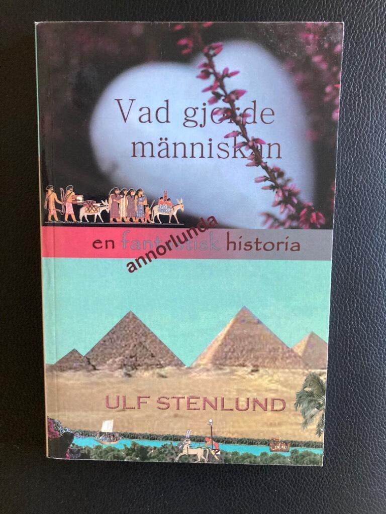 Vad gjorde m&auml;nniskan? : en annorlunda historia
