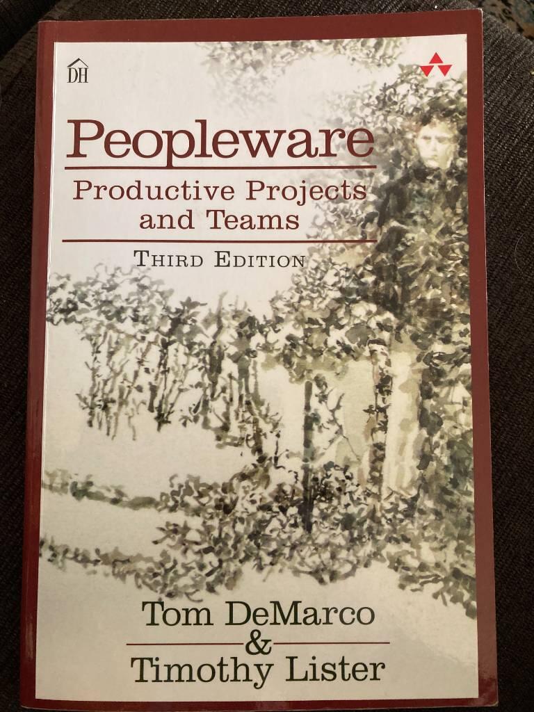Peopleware : productive projects and teams [Elektronisk resurs]