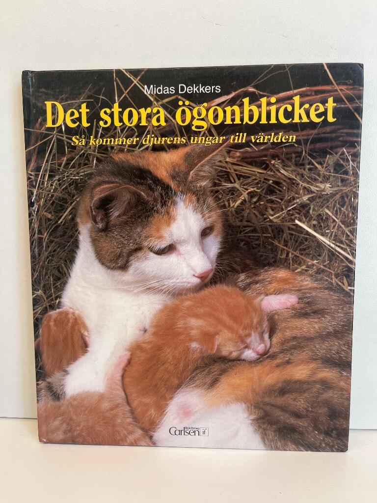 Det stora &ouml;gonblicket - s&aring; kommer djurens ungar till v&auml;rlden