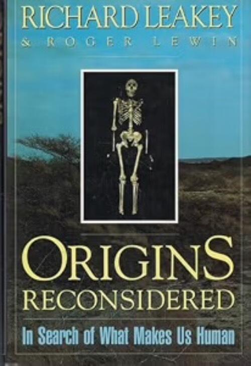 Origins reconsidered