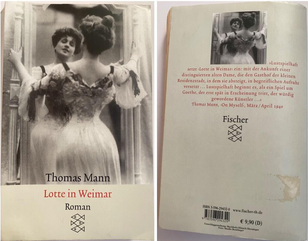 Lotte in Weimar - Roman