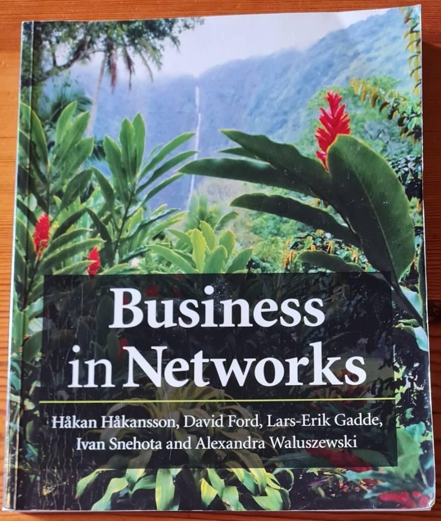 Business in Networks