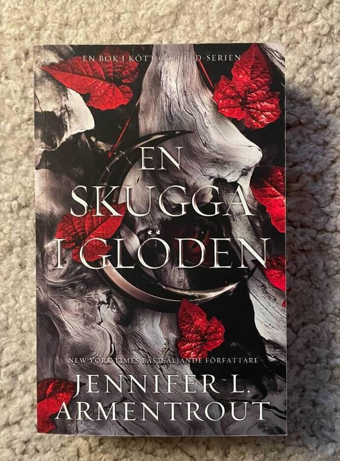 En skugga i gl&ouml;den