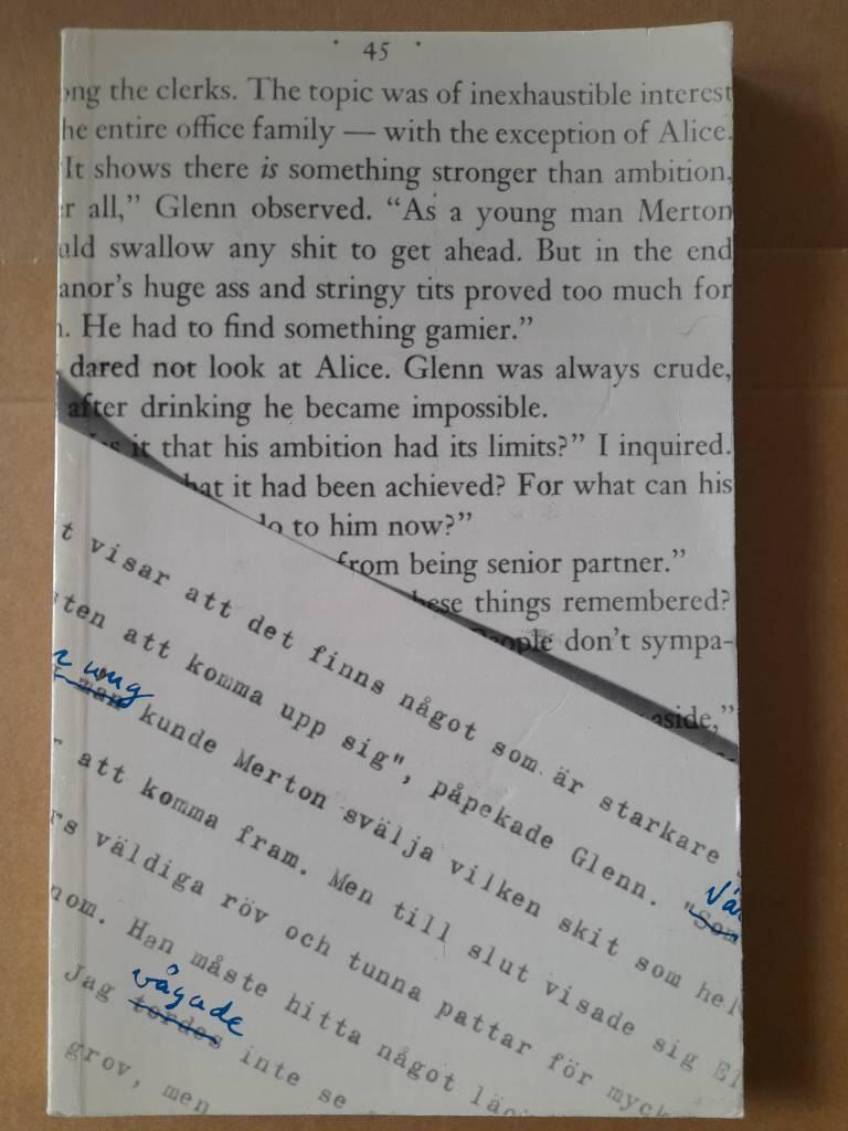 Att &ouml;vers&auml;tta b&ouml;cker : praktisk handbok om hur man ut&ouml;var v&auml;rldens friaste och mest allm&auml;nbildande yrke