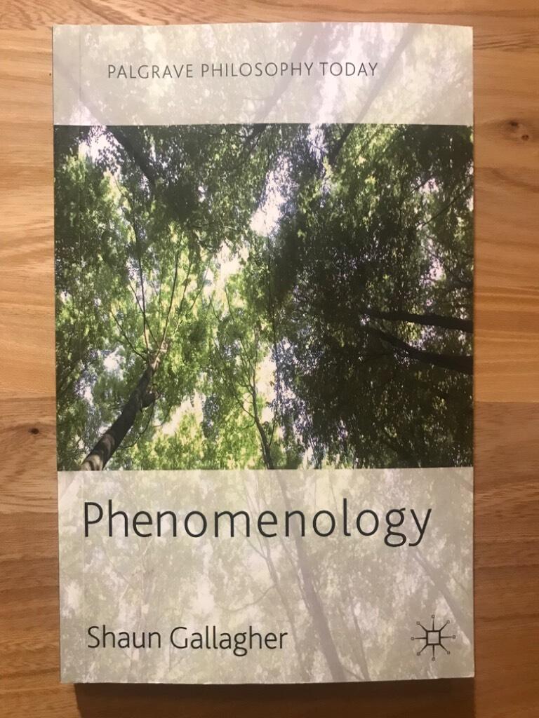 Phenomenology