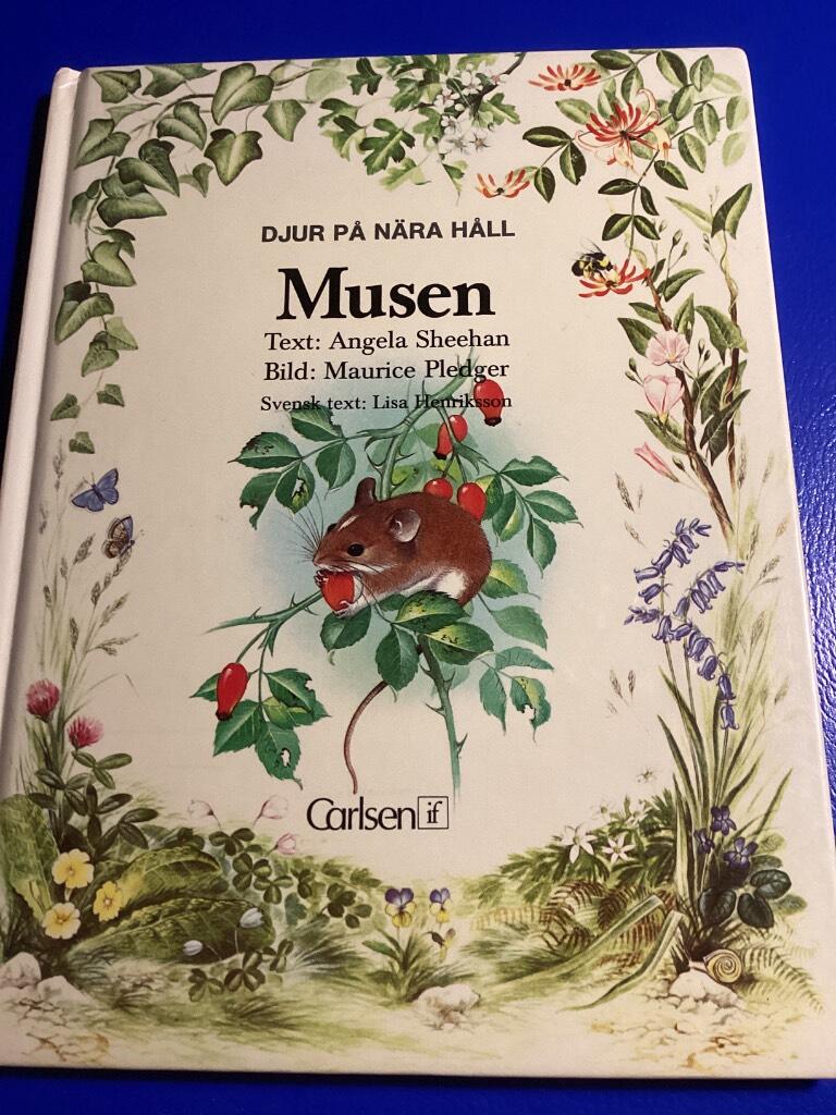 Musen