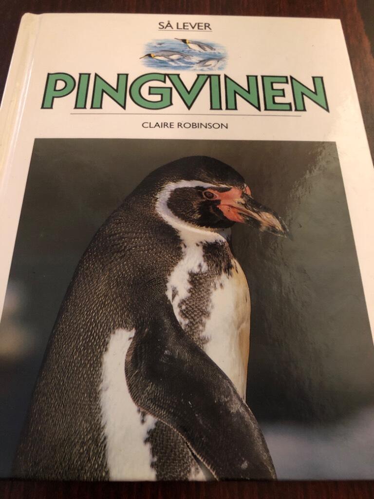 S&aring; lever pingvinen