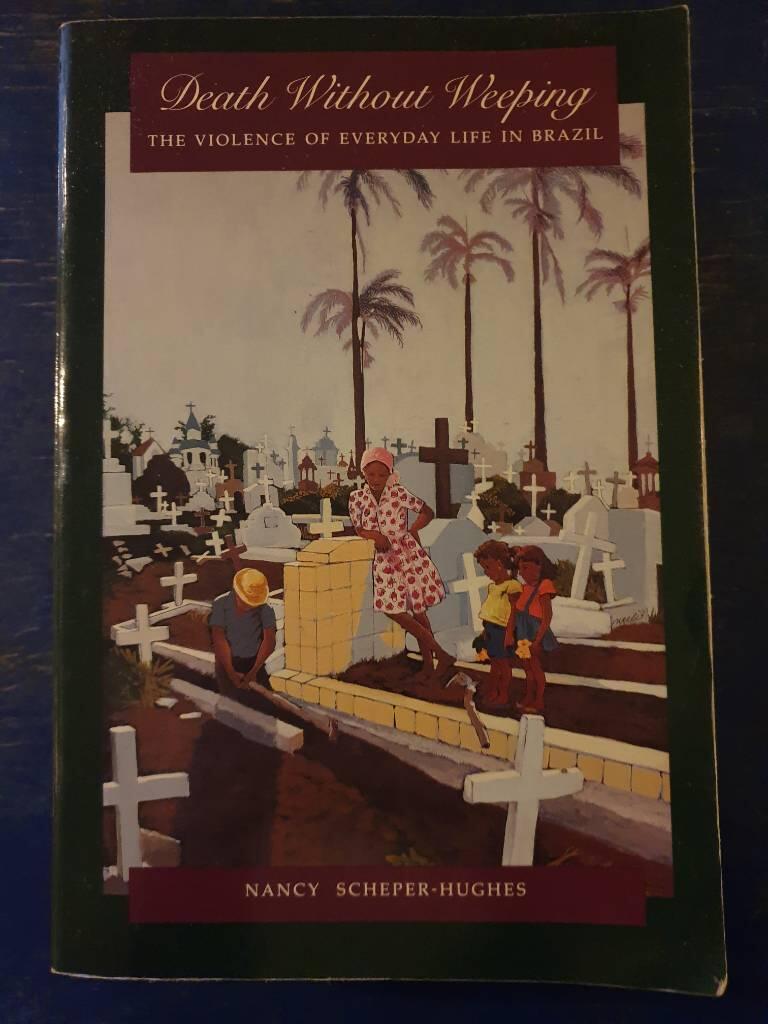 Death without weeping - the violence of everyday life in Brazil