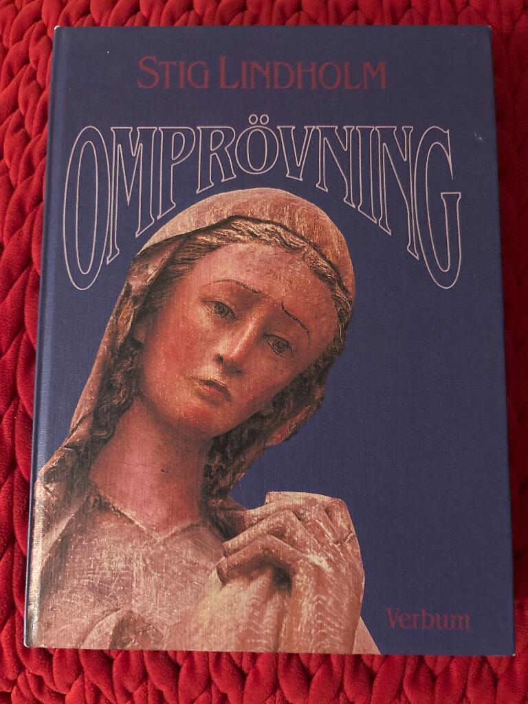 Ompr&ouml;vning : anteckningar i en rullstol