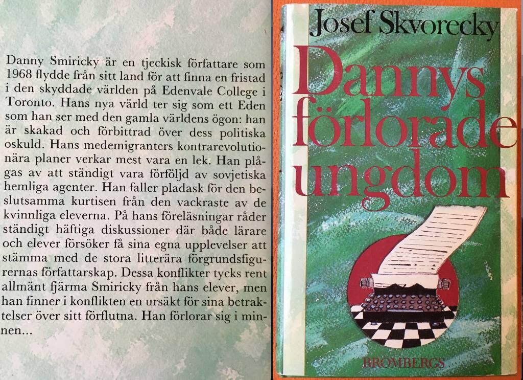 Dannys f&ouml;rlorade ungdom