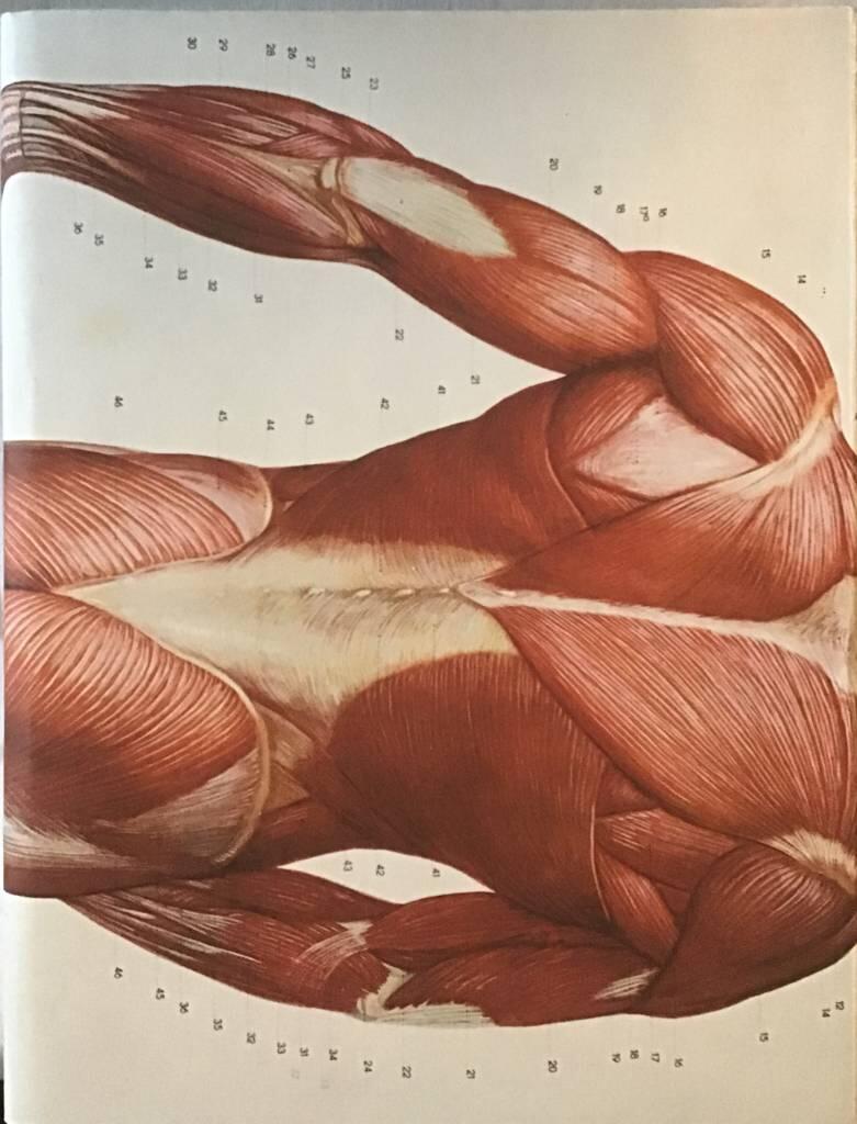 Ulrik Samuelson : second hand : Moderna museet 5.12.1998-7.2.1999