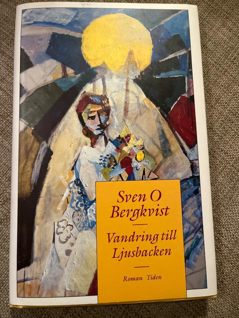 Vandring till Ljusbacken : roman