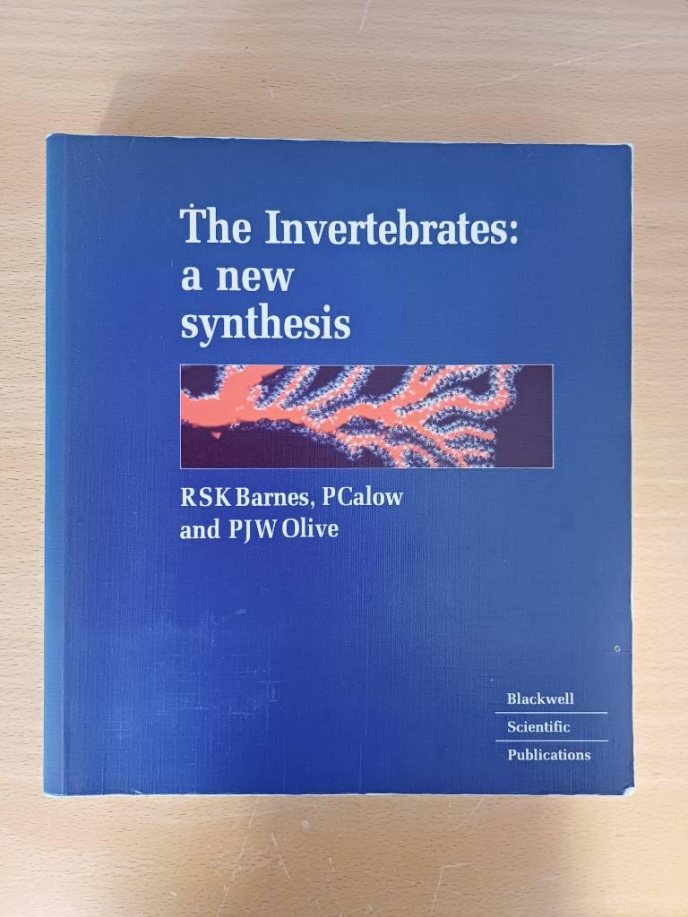The invertebrates