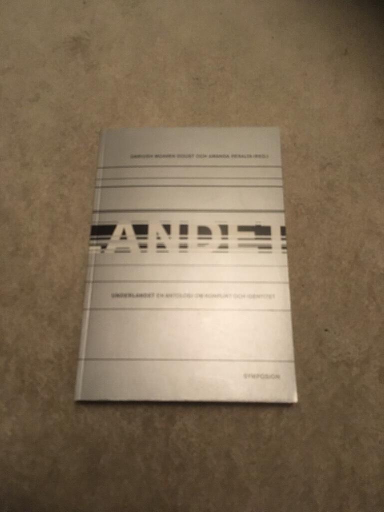 Underlandet : en antologi om konflikt och identitet