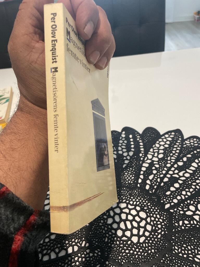 Magnetis&ouml;rens femte vinter