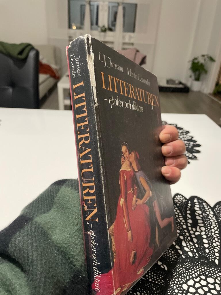 Litteraturen - epoker och diktare : litteraturhistoria f&ouml;r gymnasieskolan