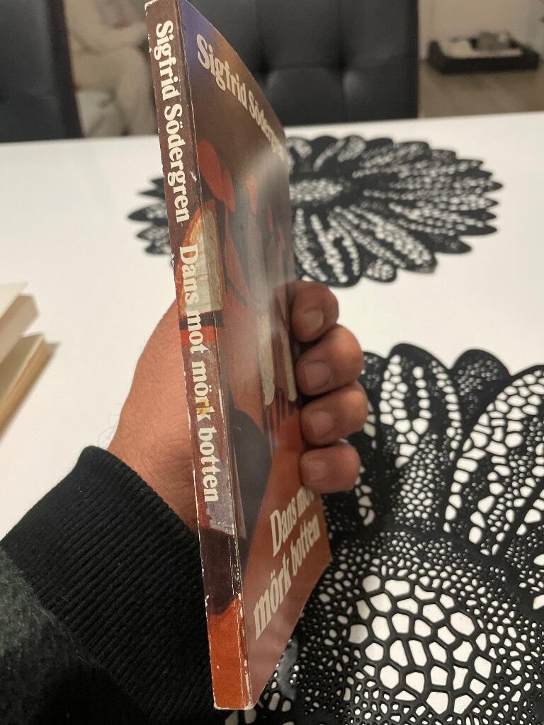 Dans mot m&ouml;rk botten : [ett ok&auml;nt Kongo sett genom konstn&auml;rs&ouml;gon]