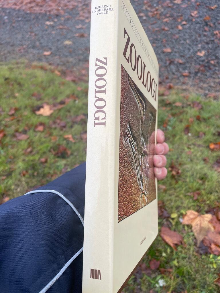 Djurens underbara värld