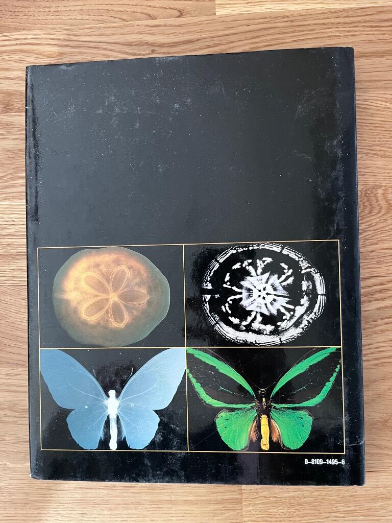 Piercing the surface - X-rays of nature