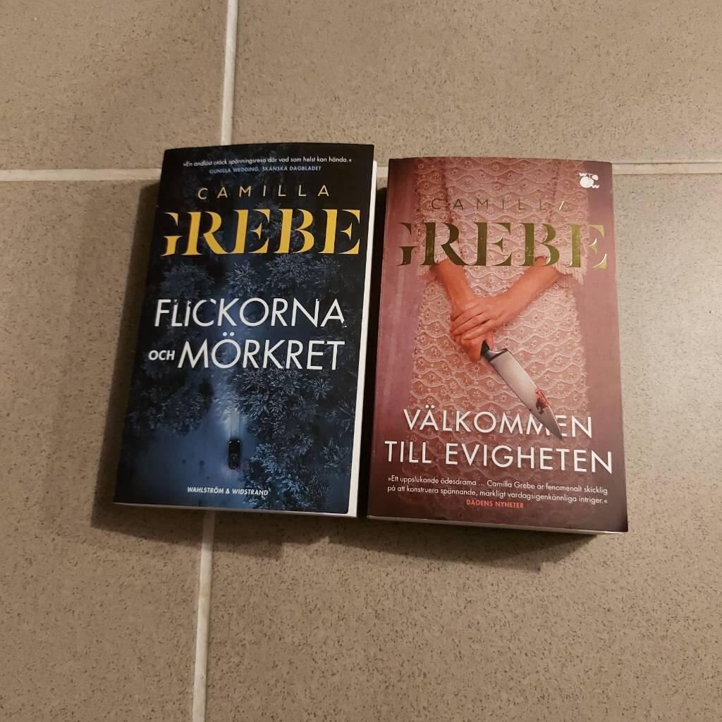 Flickorna och m&ouml;rkret