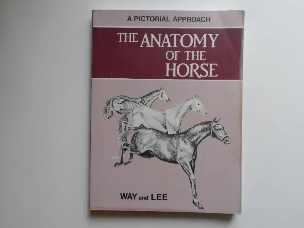 The anatomy of the horse : a pictorial approach