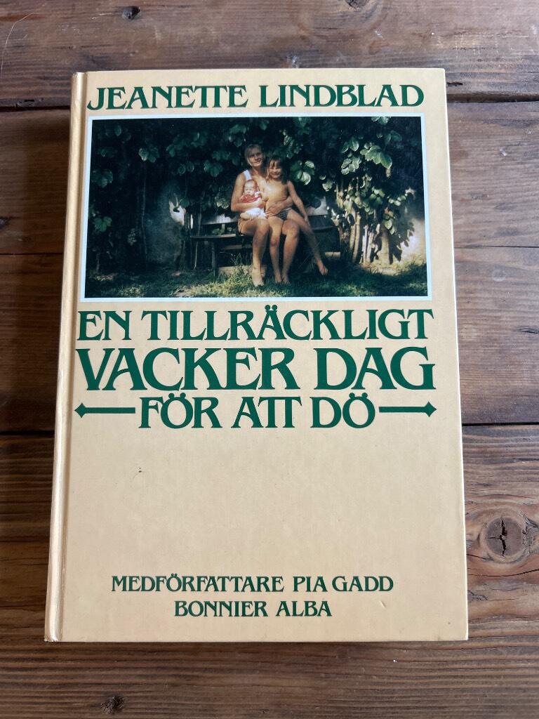 En tillr&auml;ckligt vacker dag f&ouml;r att d&ouml;