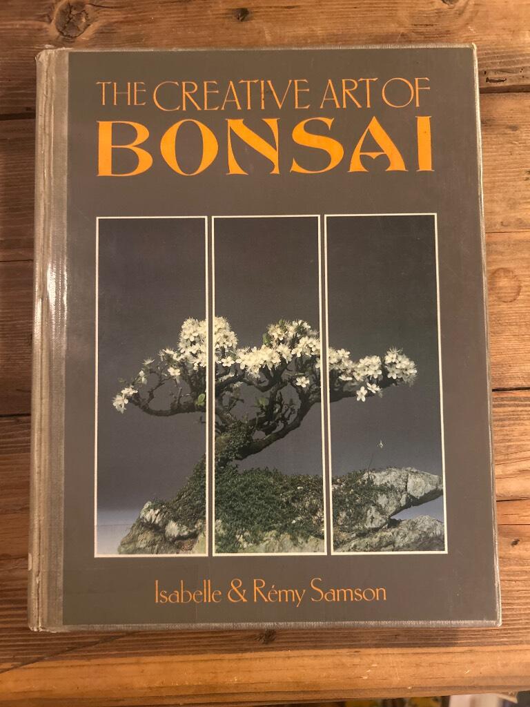 The creative art of bonsai