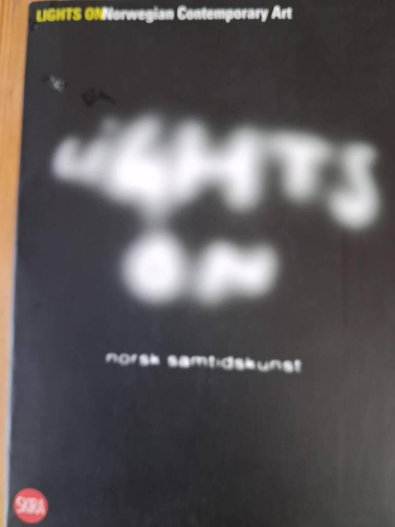 Lights on - Norwegian contemporary art