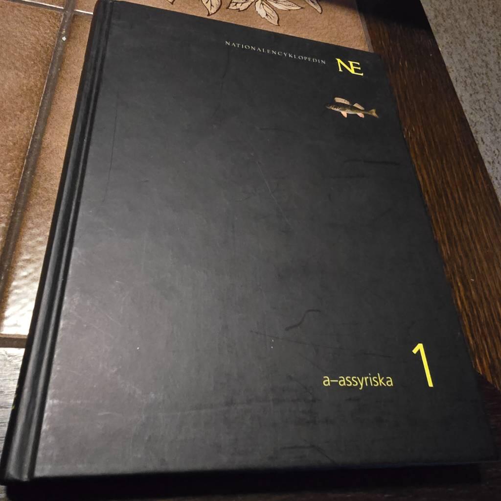 NE i tjugo band : en modern och komprimerad version av det stora uppslagsverket