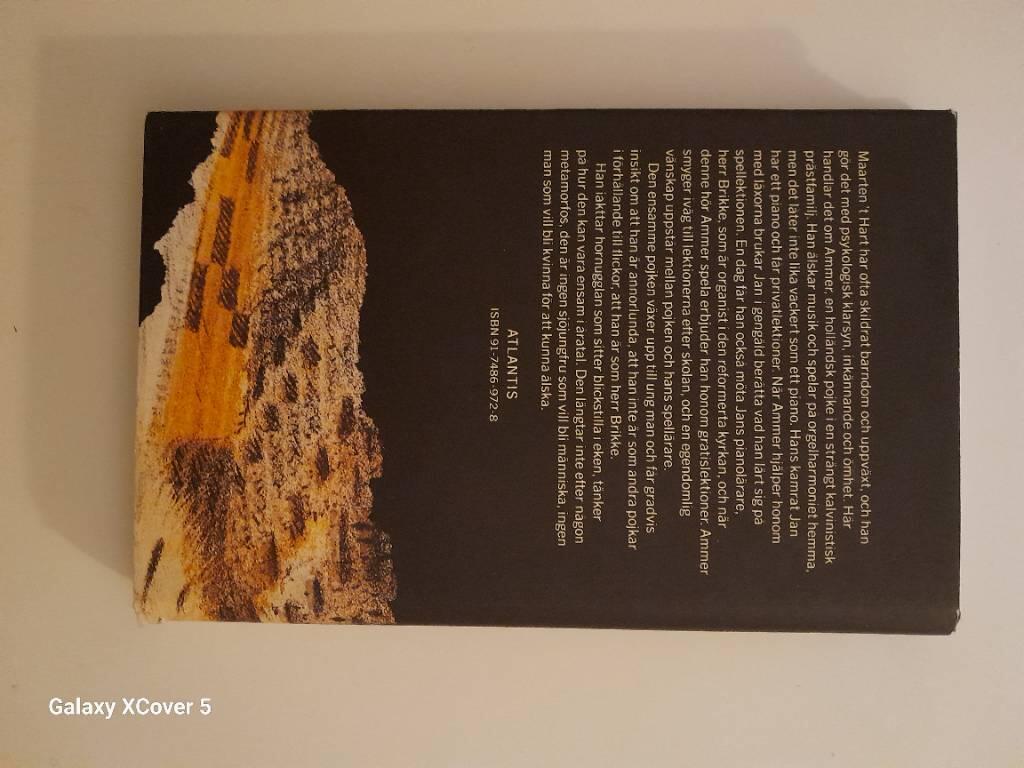 Stenar mot en hornuggla