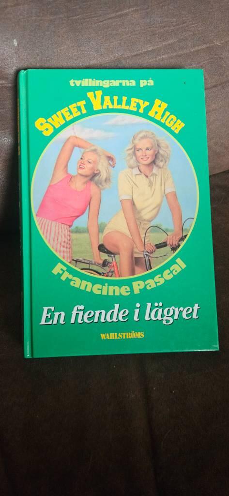 En fiende i lägret
