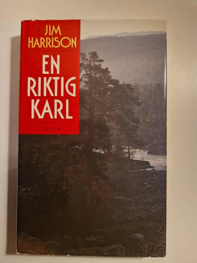 En riktig karl