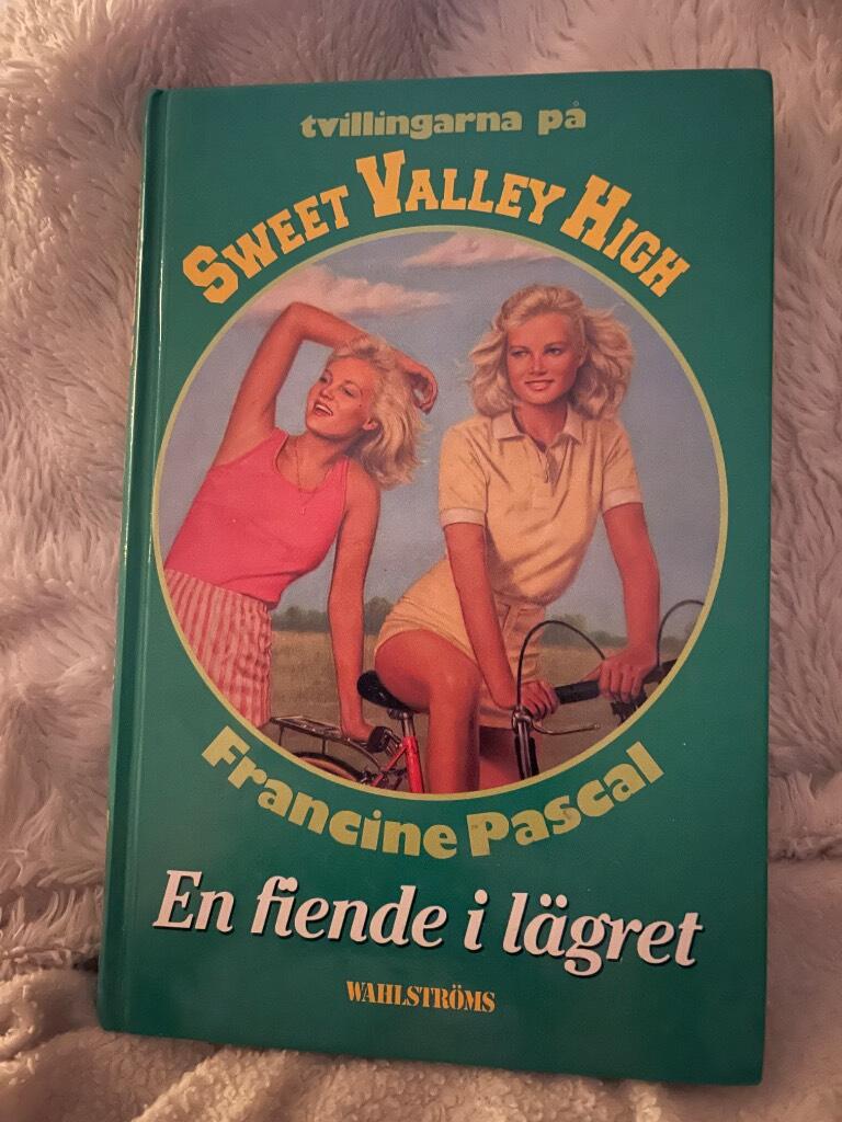 En fiende i l&auml;gret