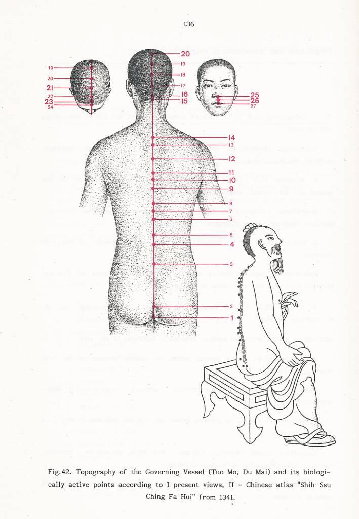The revival of acupuncture & natural methods of treatment