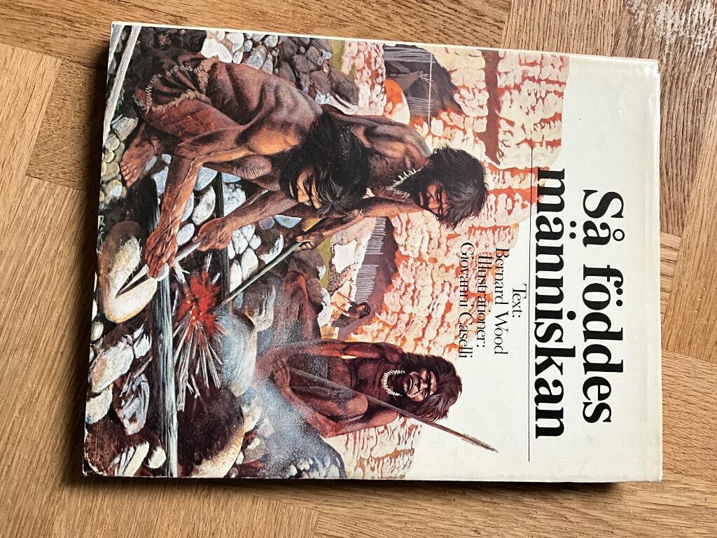 S&aring; f&ouml;ddes m&auml;nniskan