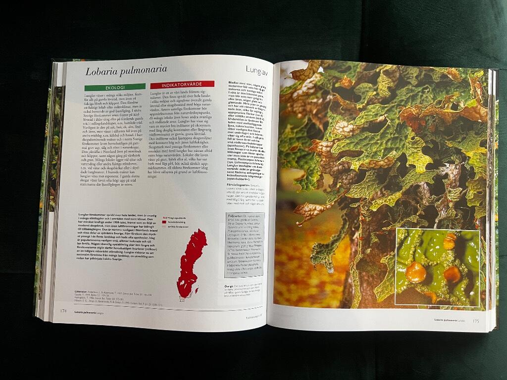 Signalarter : indikatorer p&aring; skyddsv&auml;rd skog : flora &ouml;ver kryptogamer