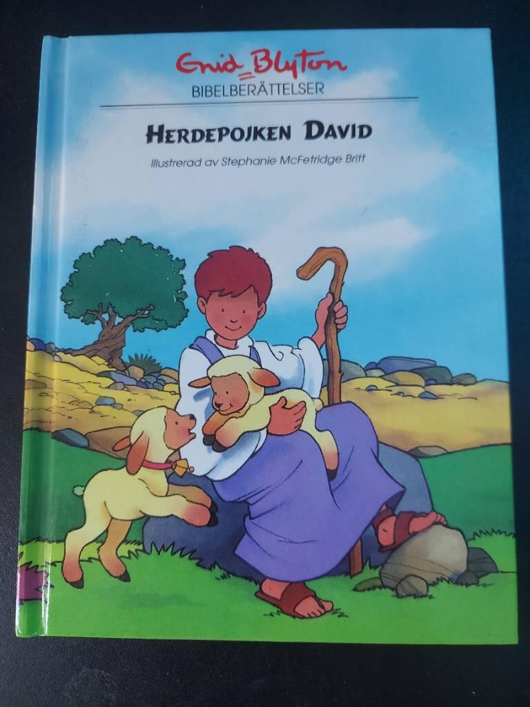 Herdepojken David