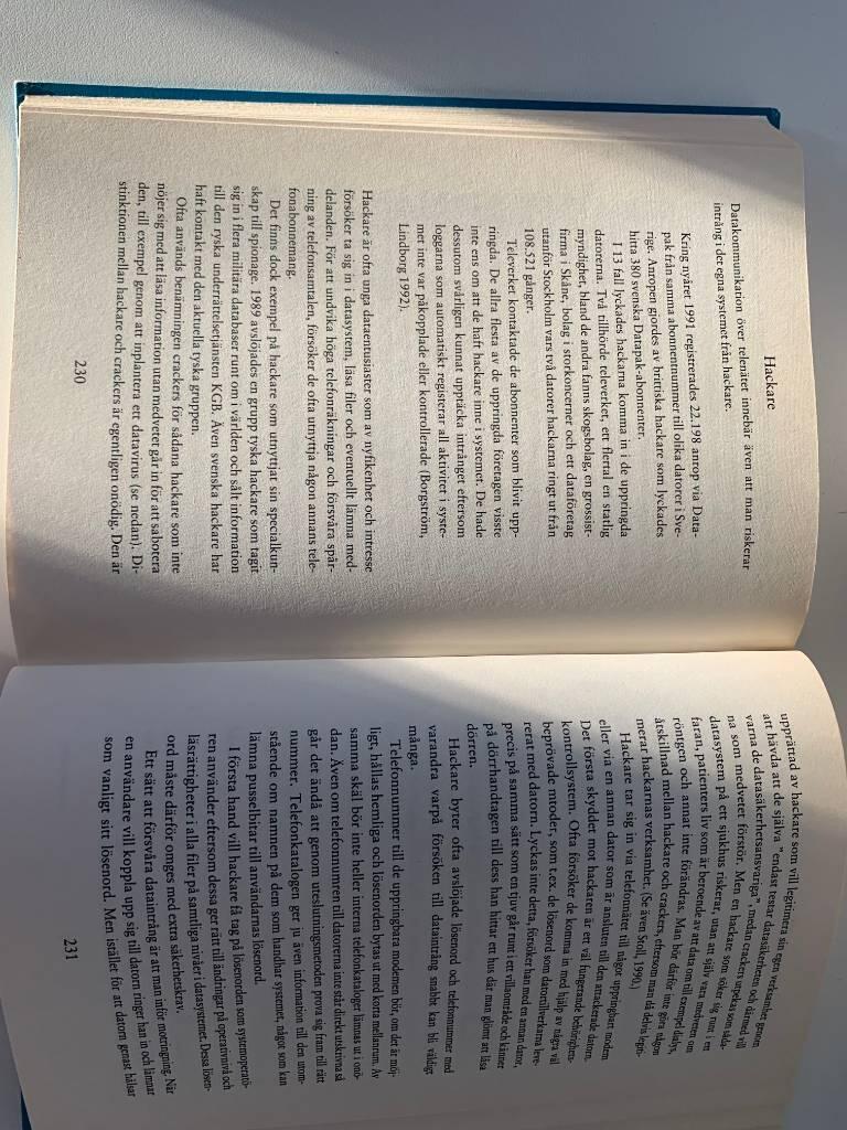 Stora s&auml;kerhetsboken : f&ouml;r f&ouml;retag, myndigheter och andra organisationer