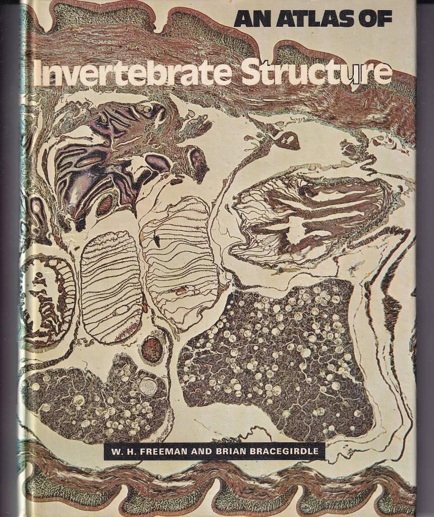 An atlas of invertebrate structure