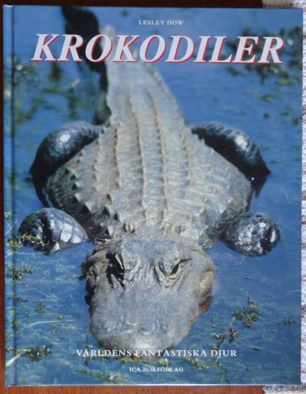 Krokodiler